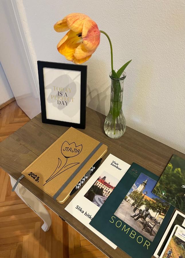 Apartment Lala Sombor Zewnętrze zdjęcie